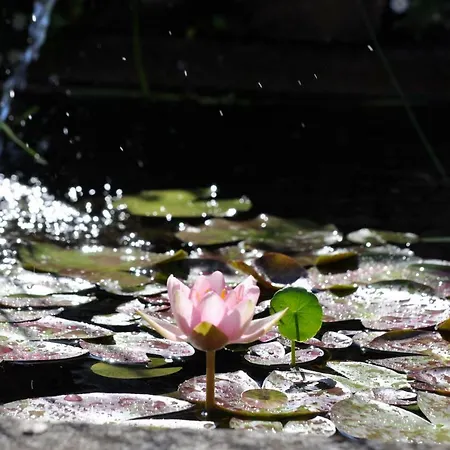 カントリーハウス Il Casale Del Duca *
