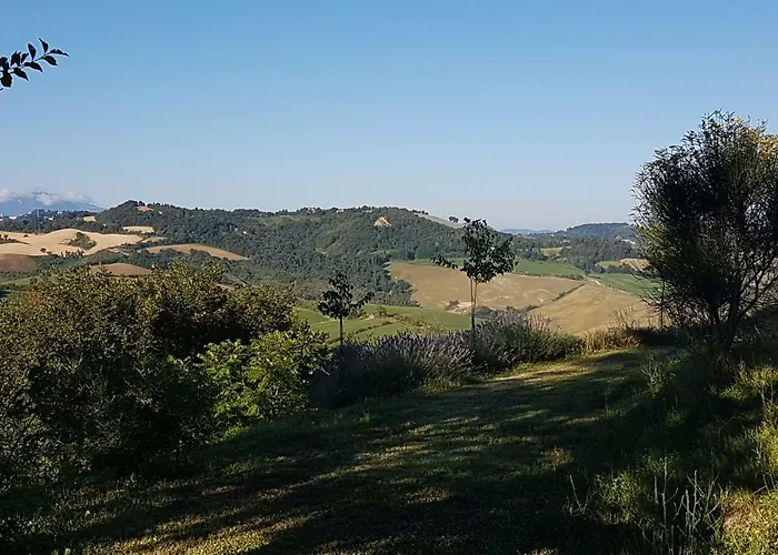 乡村民宿 Il Casale Del Duca